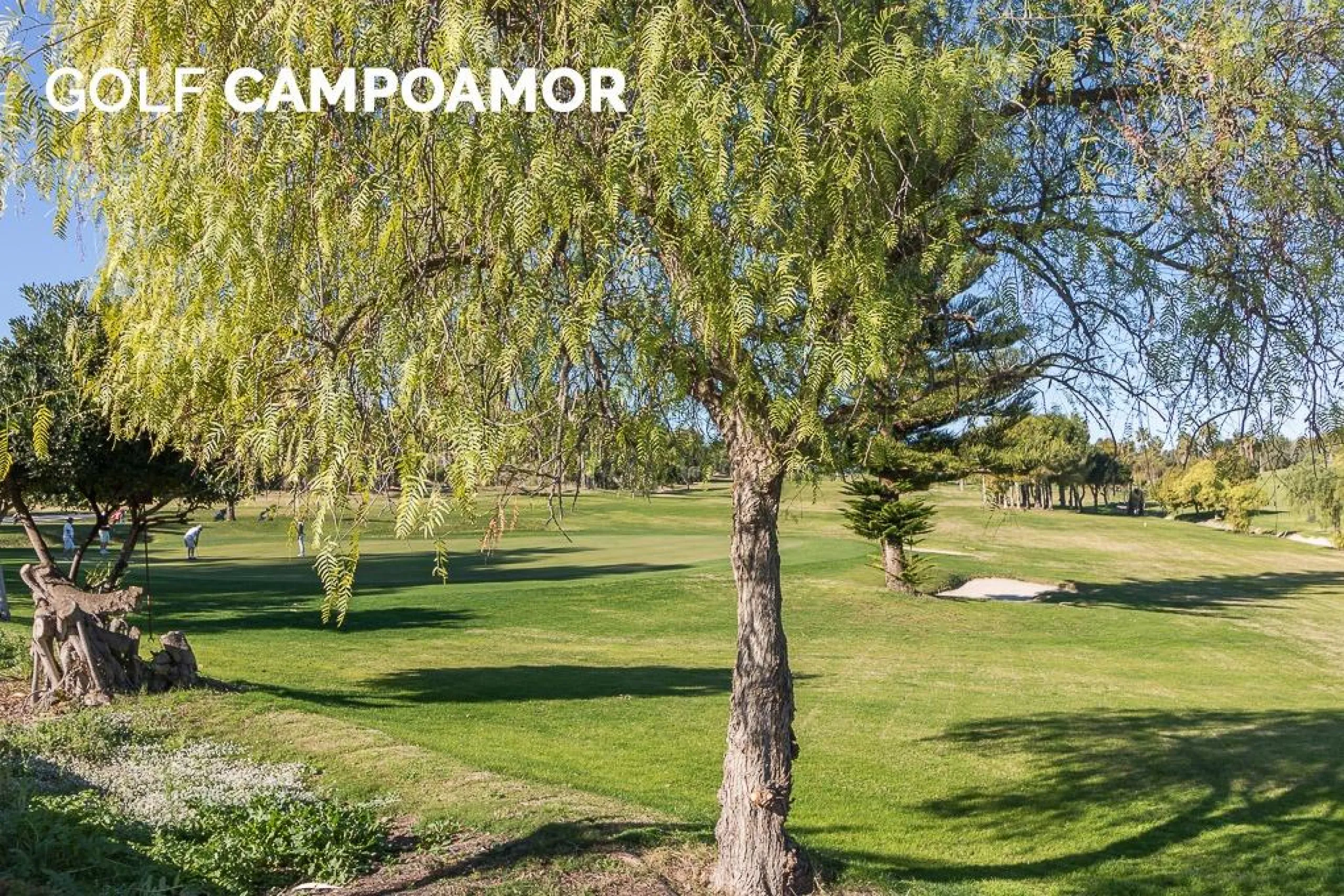 Villa independiente reformada con apartamento independiente y piscina privada en Villamartín