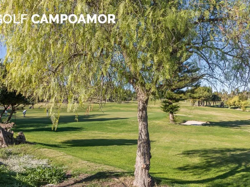 Villa independiente reformada con apartamento independiente y piscina privada en Villamartín