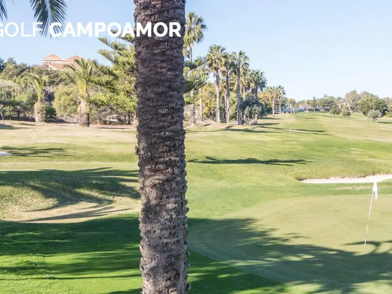 Villa independiente reformada con apartamento independiente y piscina privada en Villamartín