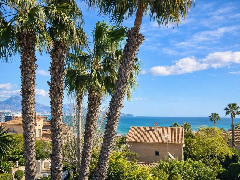 Chalet adosado en venta en Calle del Albatros - San Juan Playa (Cabo Huertas) 4 habitaciones