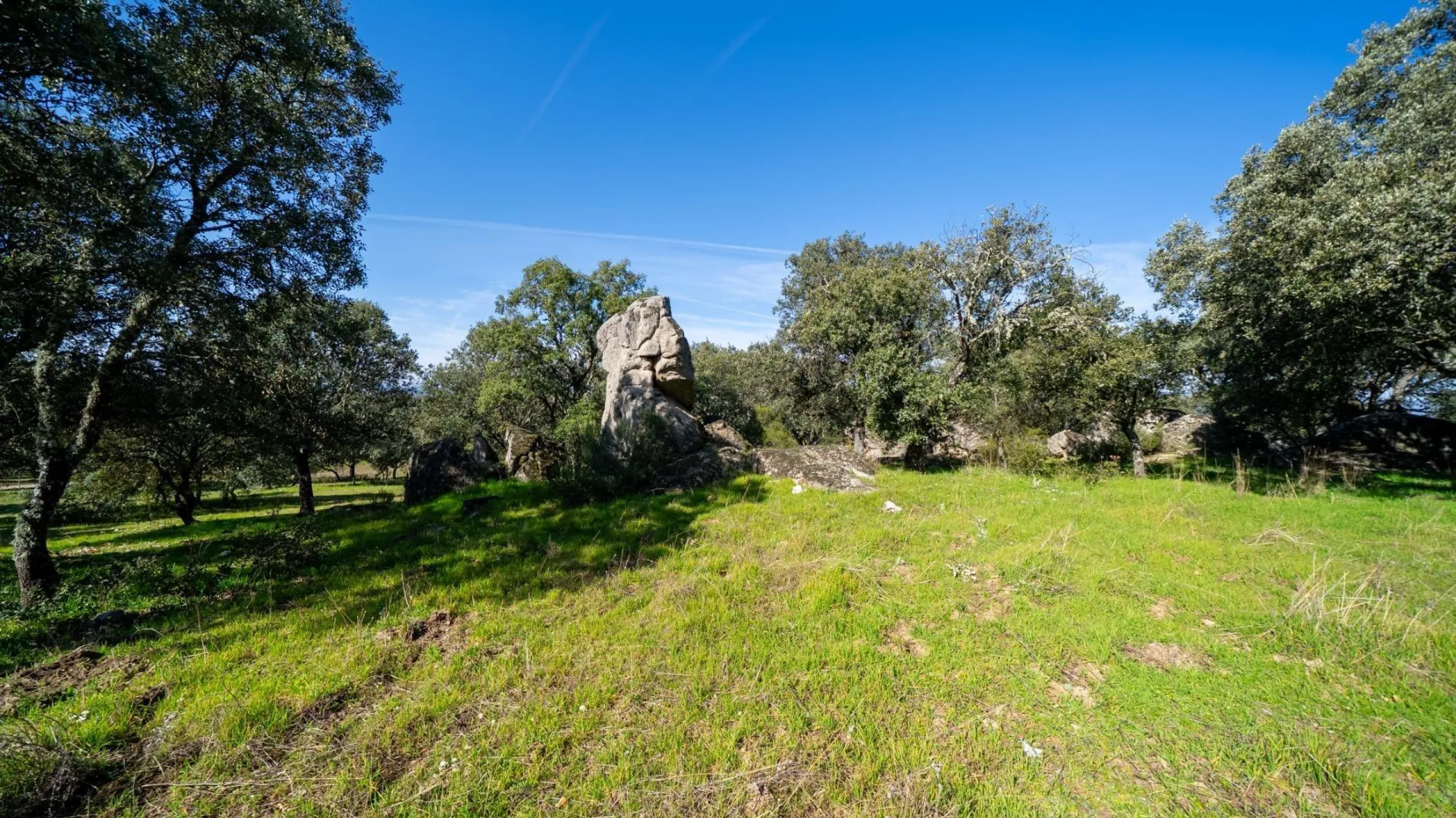 A UNIQUE ESTATE IN THE SIERRA DE GUADARRAMA NATIONAL PARK, MADRID
