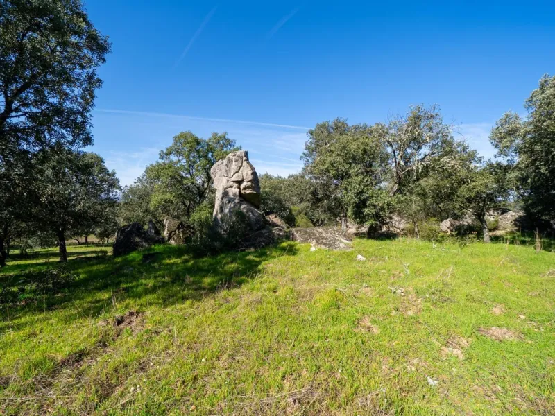 A UNIQUE ESTATE IN THE SIERRA DE GUADARRAMA NATIONAL PARK, MADRID