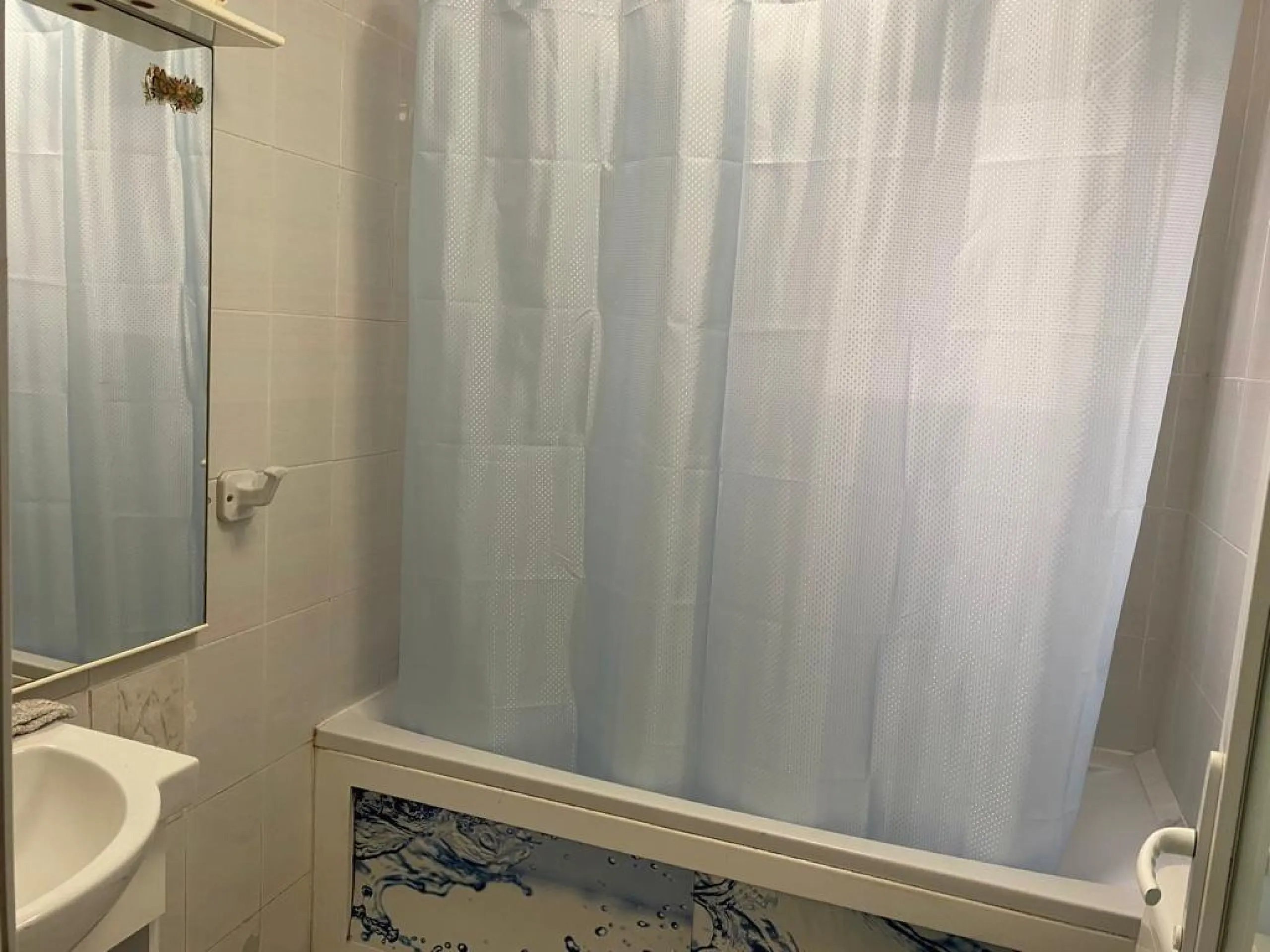 Two studios with tenants for sale