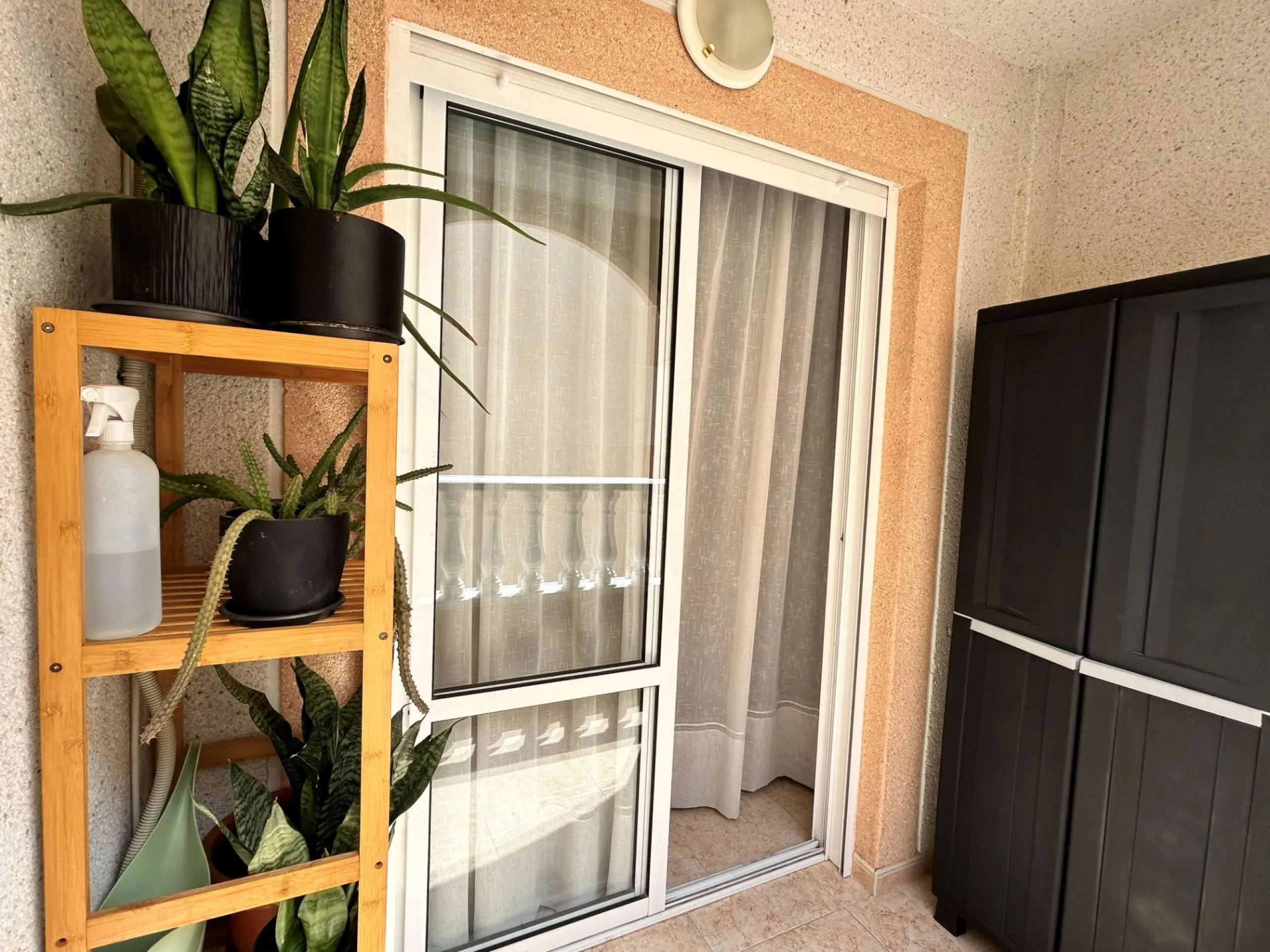 APARTMENT IN TORREVIEJA CENTER: 2 BEDROOMS, 1 BATHROOM, POOL