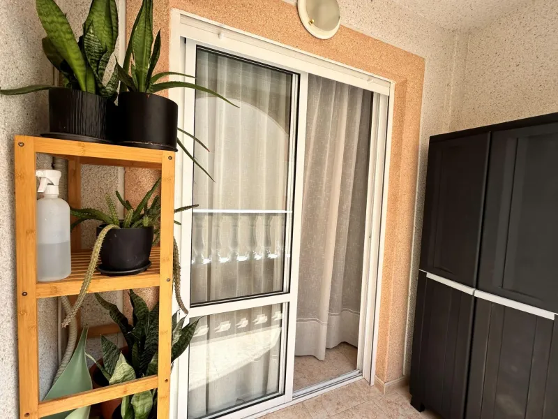 APARTMENT IN TORREVIEJA CENTER: 2 BEDROOMS, 1 BATHROOM, POOL