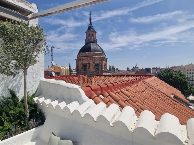Penthouse with designer renovation and two terraces, in a historic building in the Palacio neighborhood.