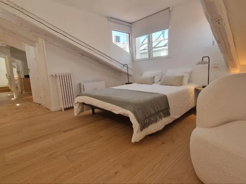 Penthouse with designer renovation and two terraces, in a historic building in the Palacio neighborhood.