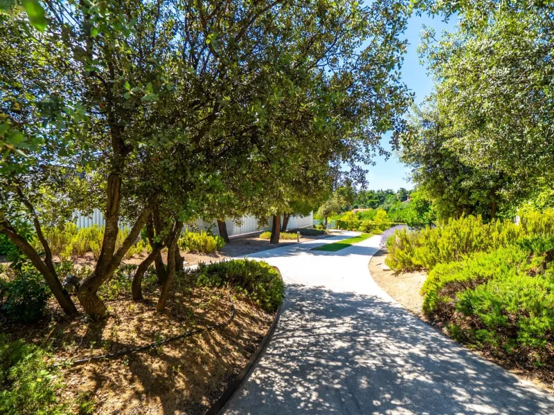 Ático Dúplex de Lujo, un Oasis de Privacidad y Luz con Increíbles Terrazas