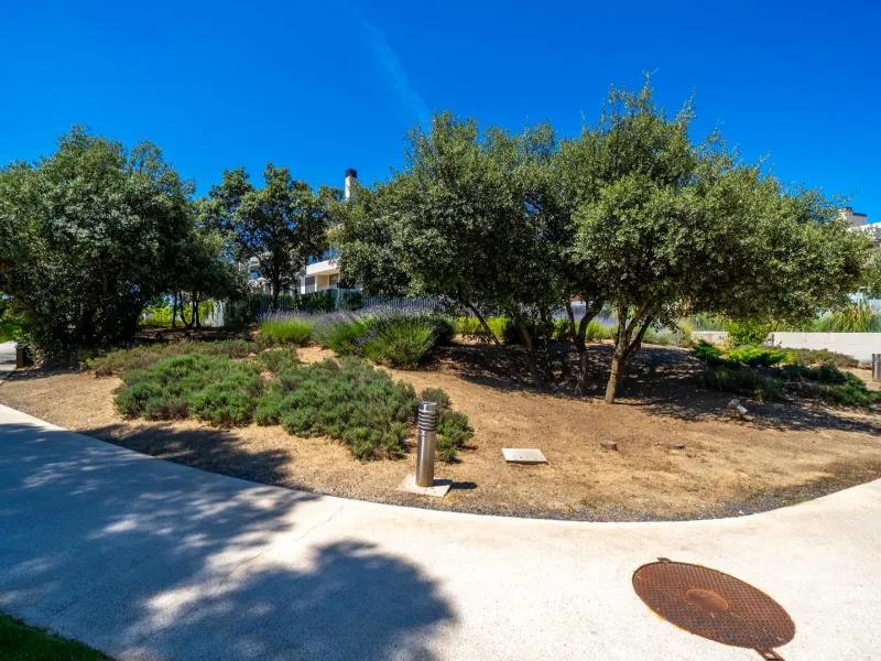 Ático Dúplex de Lujo, un Oasis de Privacidad y Luz con Increíbles Terrazas