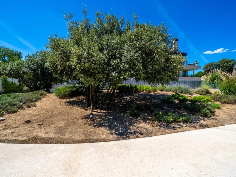 Ático Dúplex de Lujo, un Oasis de Privacidad y Luz con Increíbles Terrazas