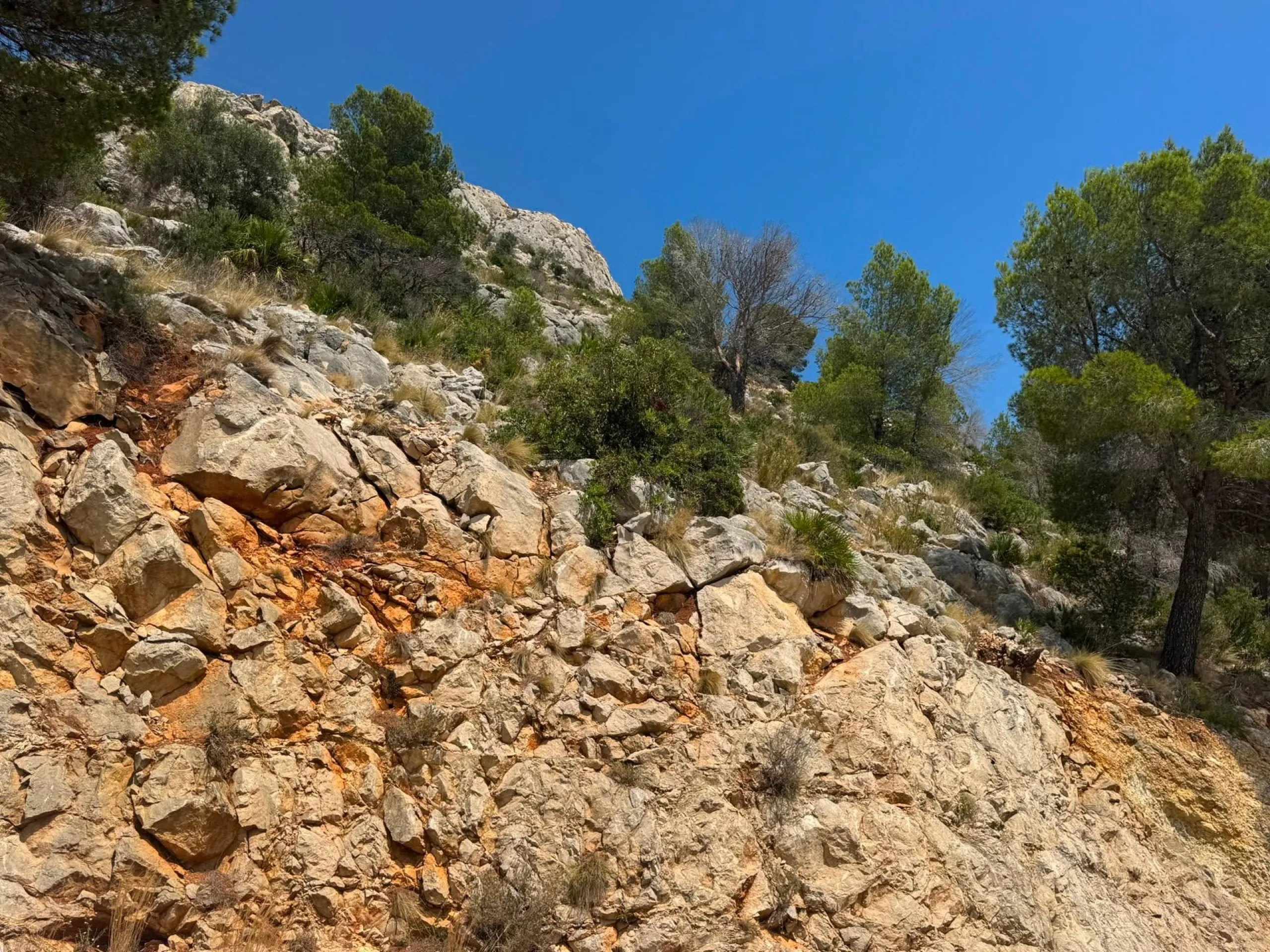 TERRENO URBANO EN ALTEA HILLS