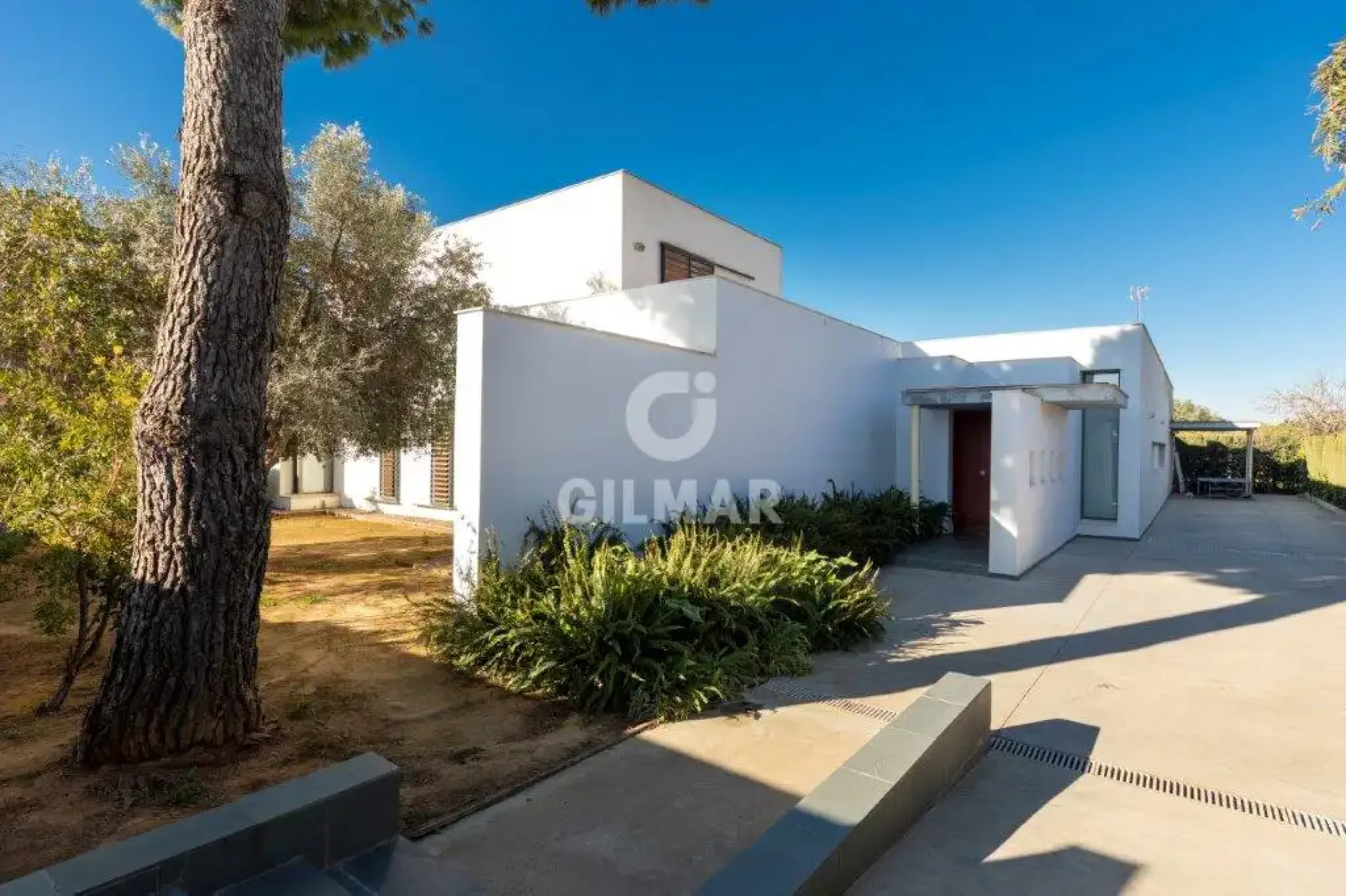 Chalet Independiente en Sanlúcar la Mayor - Sevilla
