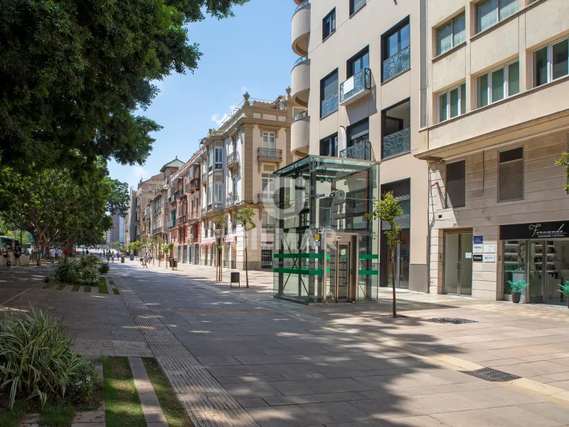 Apartment in Centro (Málaga) - Málaga