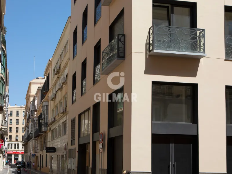 Penthouse in Centro (Málaga) - Málaga