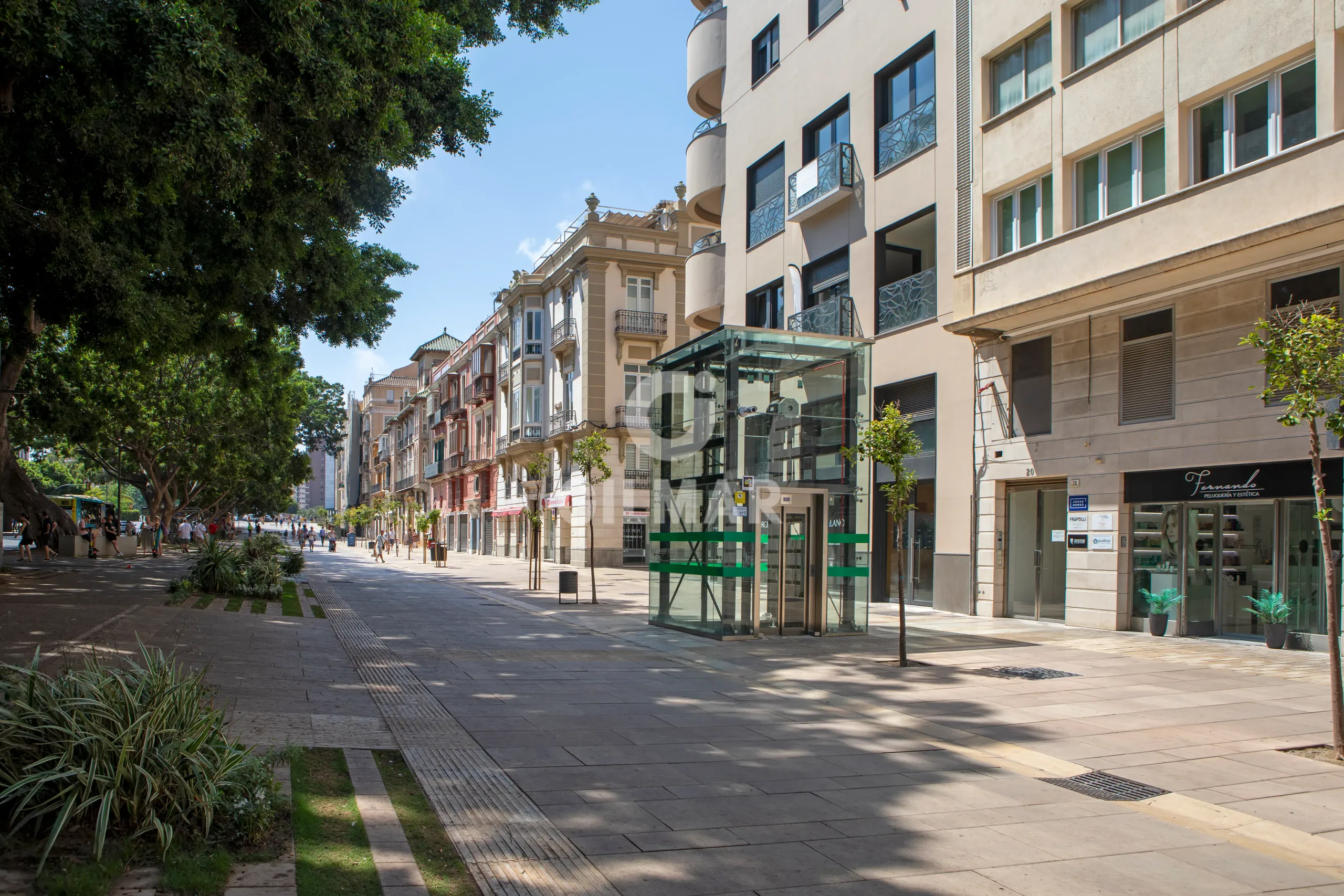Piso en Centro (Málaga) - Málaga