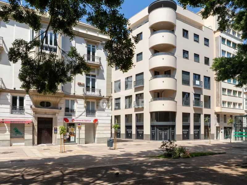 Piso en Centro (Málaga) - Málaga