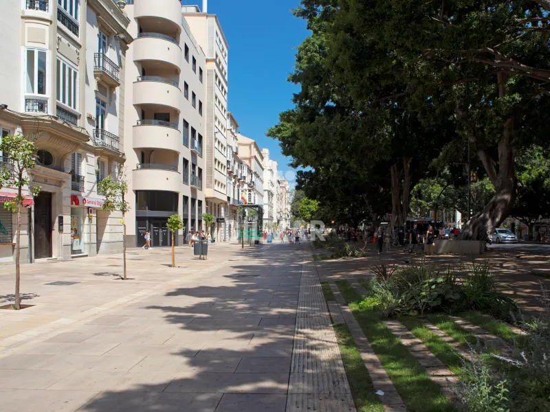 Piso en Centro (Málaga) - Málaga
