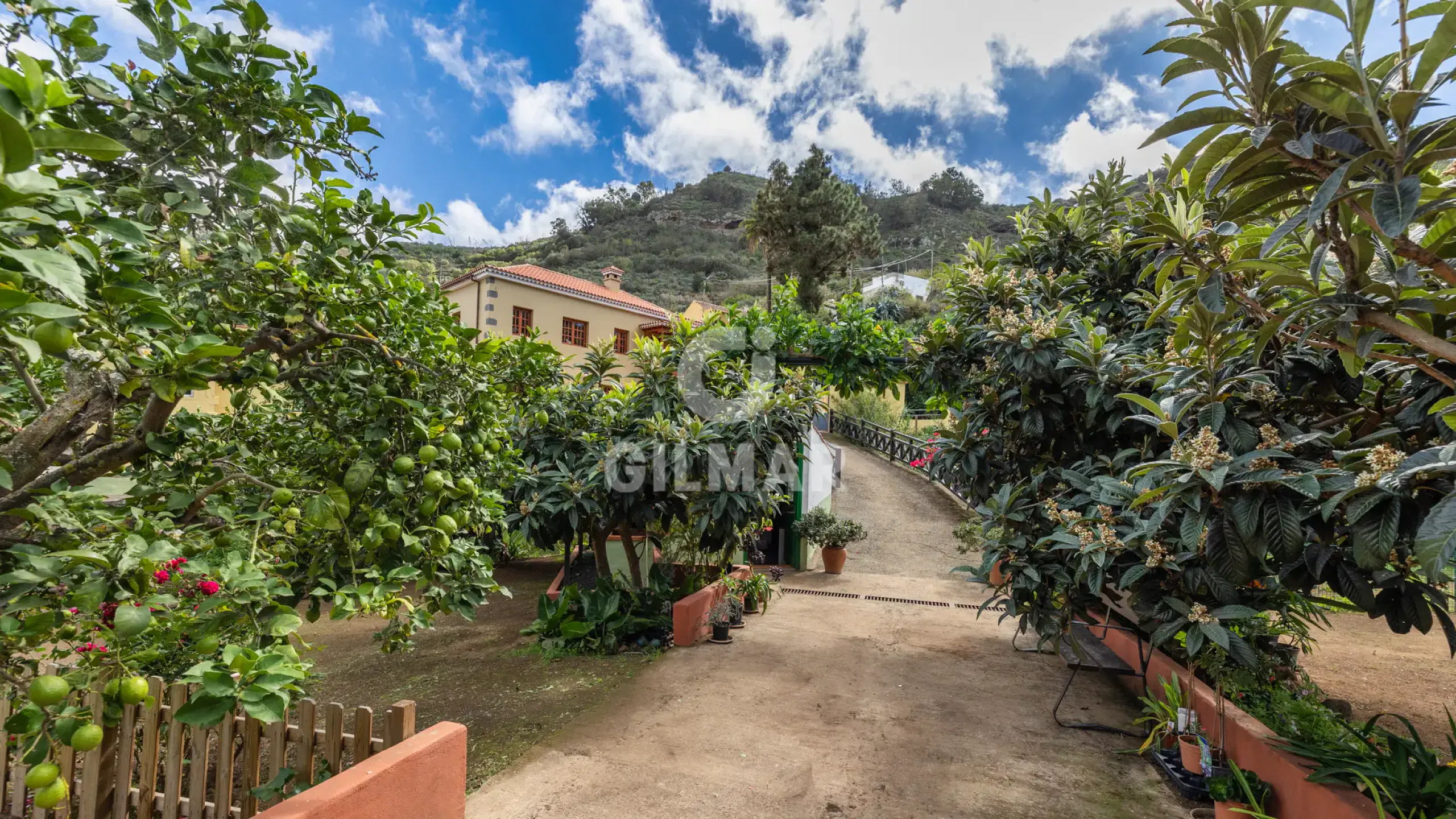 Villa in Teror - Las Palmas