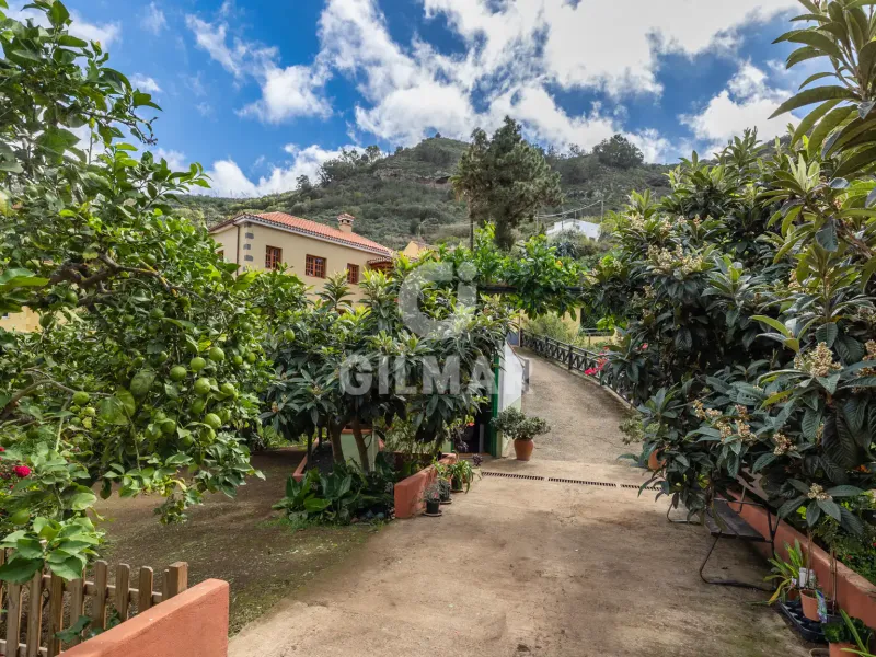 Villa in Teror - Las Palmas