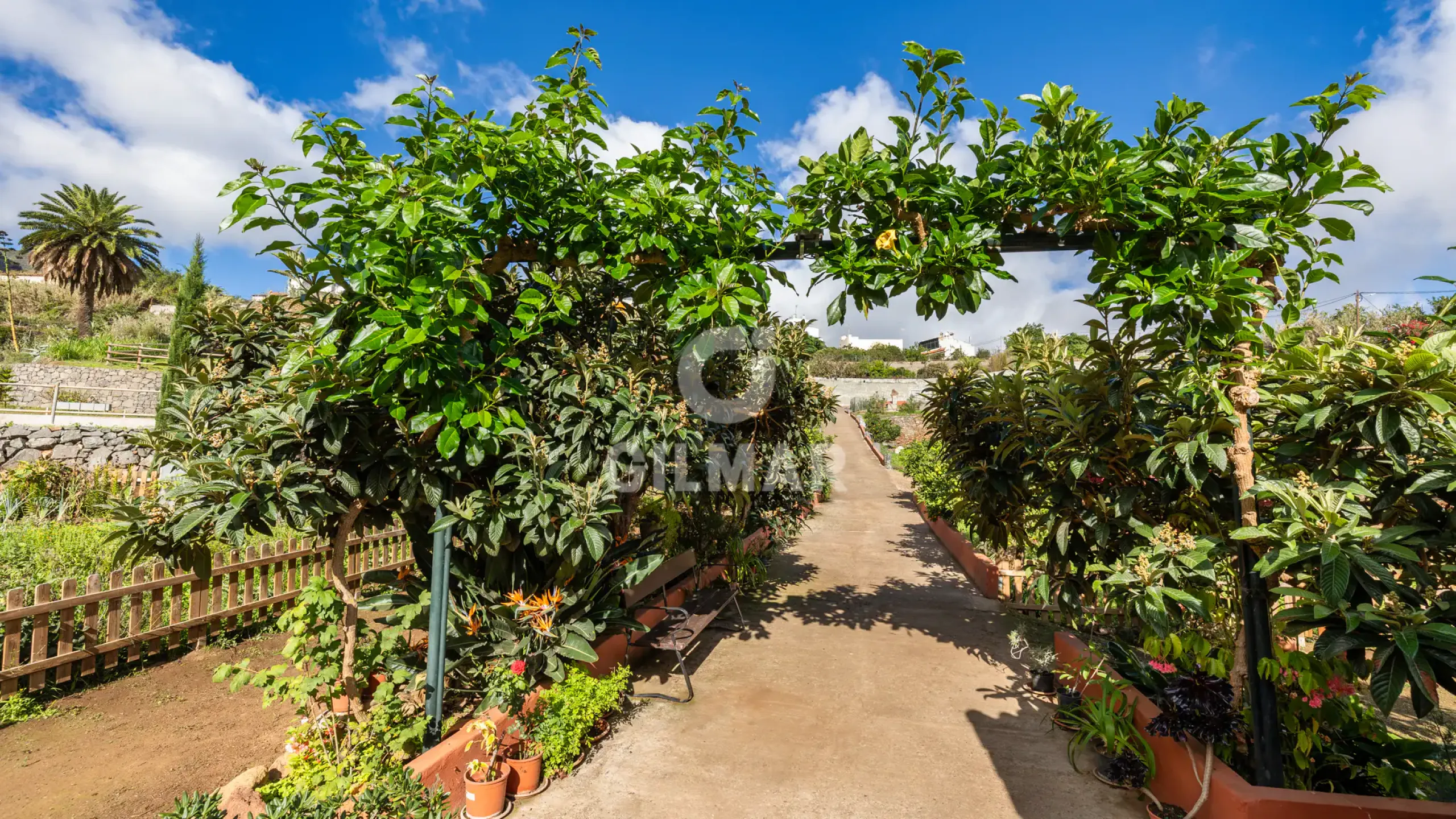 Villa in Teror - Las Palmas