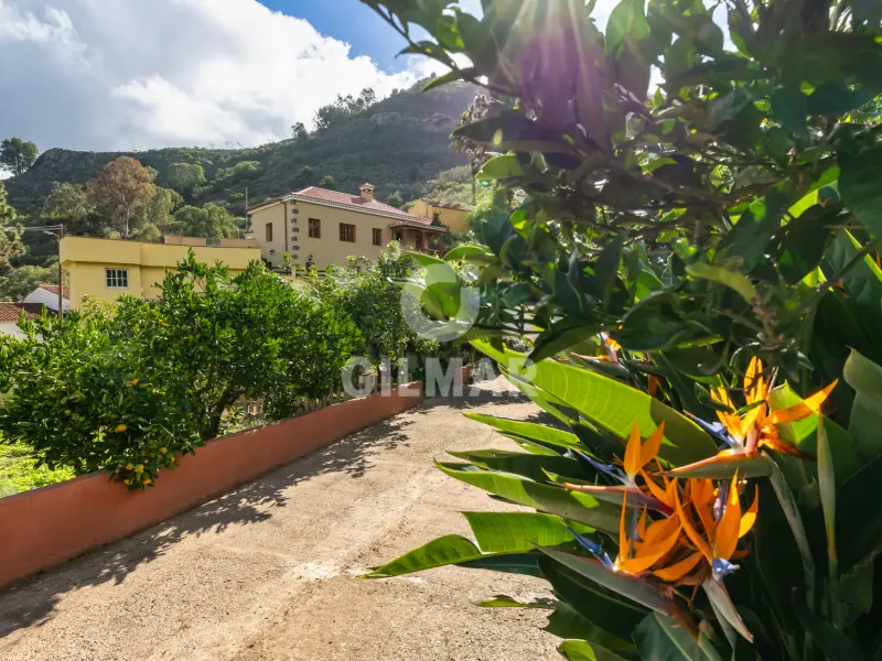 Villa in Teror - Las Palmas