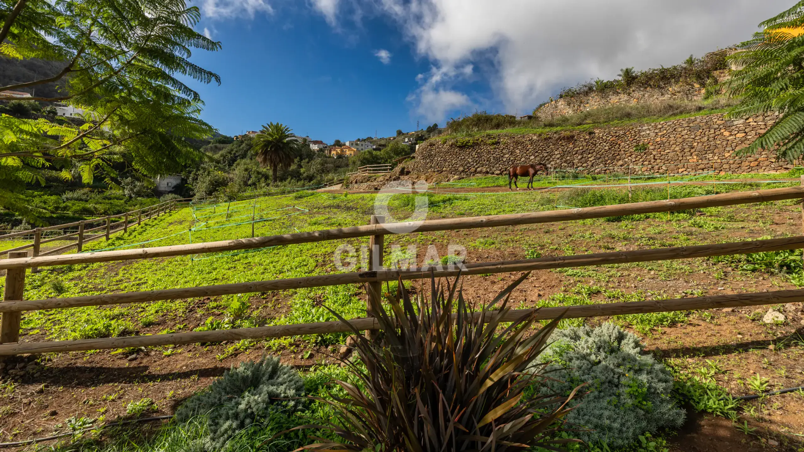 Villa in Teror - Las Palmas