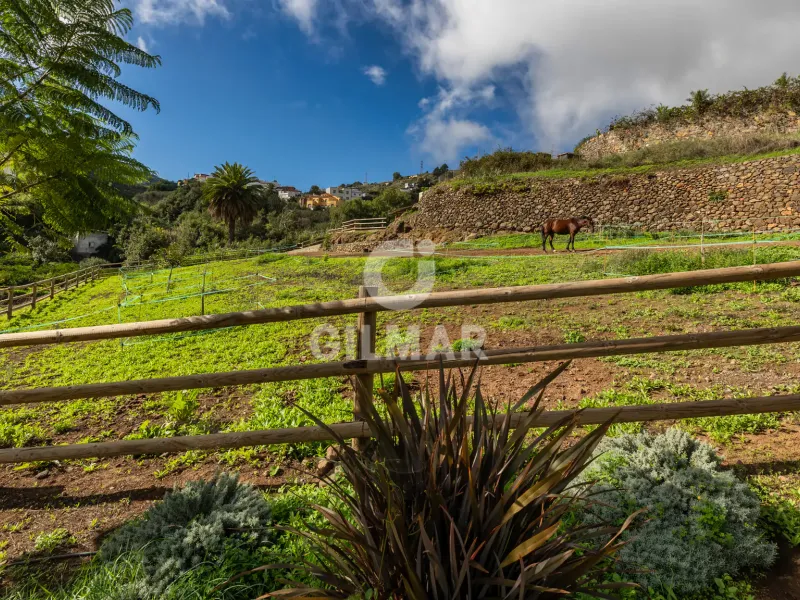 Villa in Teror - Las Palmas