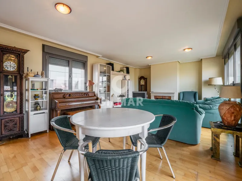 Penthouse in Guindalera - Madrid