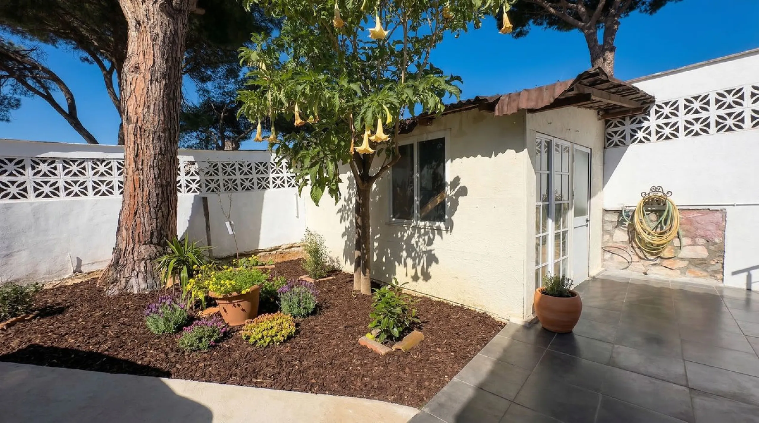 • 300 meters from the beach
