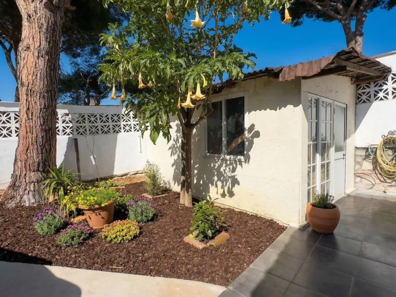 • 300 meters from the beach