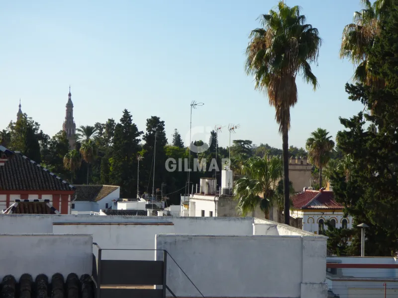 Semi-detached house in Centro (Sevilla) - Sevilla