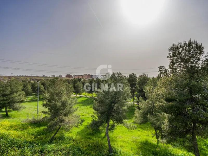 Chalet Adosado en Coslada - Madrid