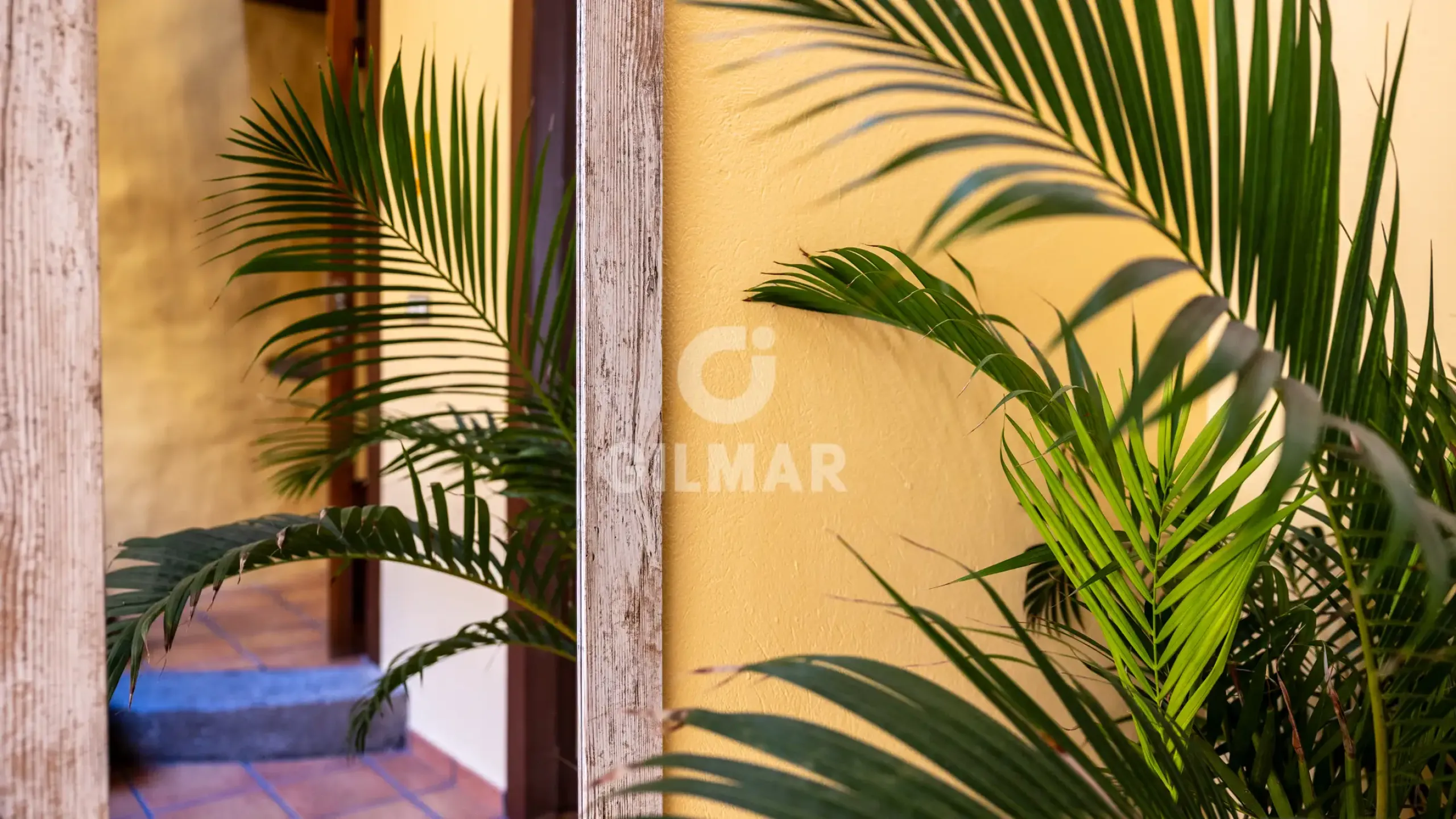 Townhouse in Santa María de Guía - Las Palmas