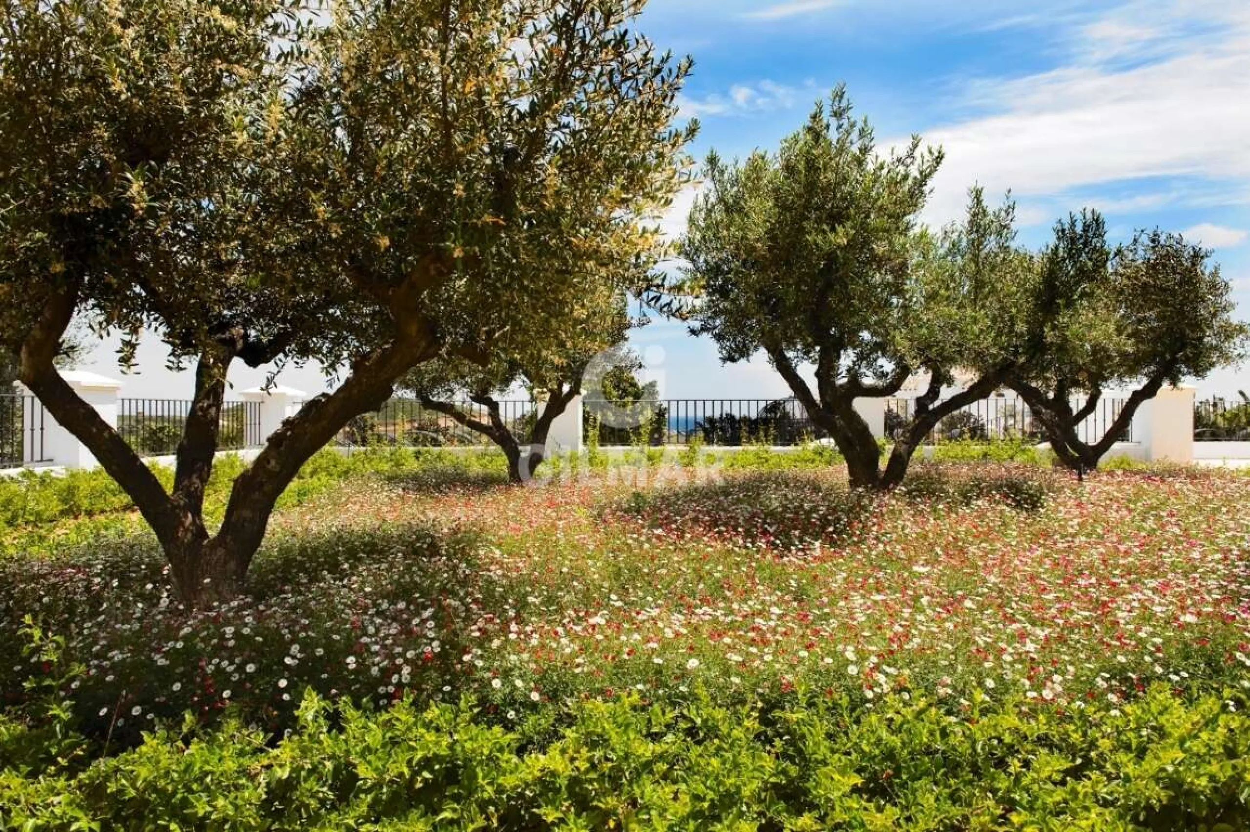 Chalet Independiente en Casares - Málaga
