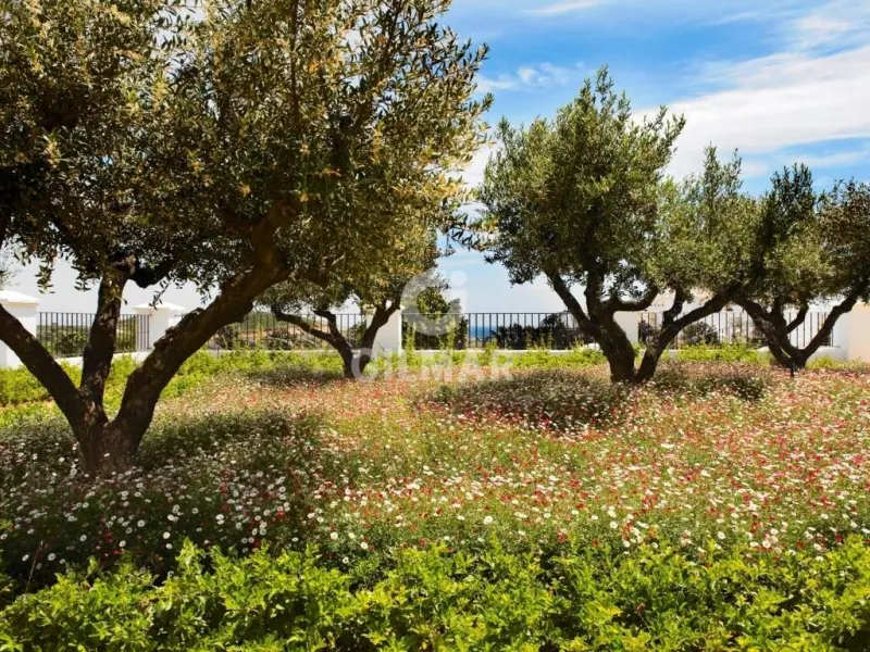 Chalet Independiente en Casares - Málaga