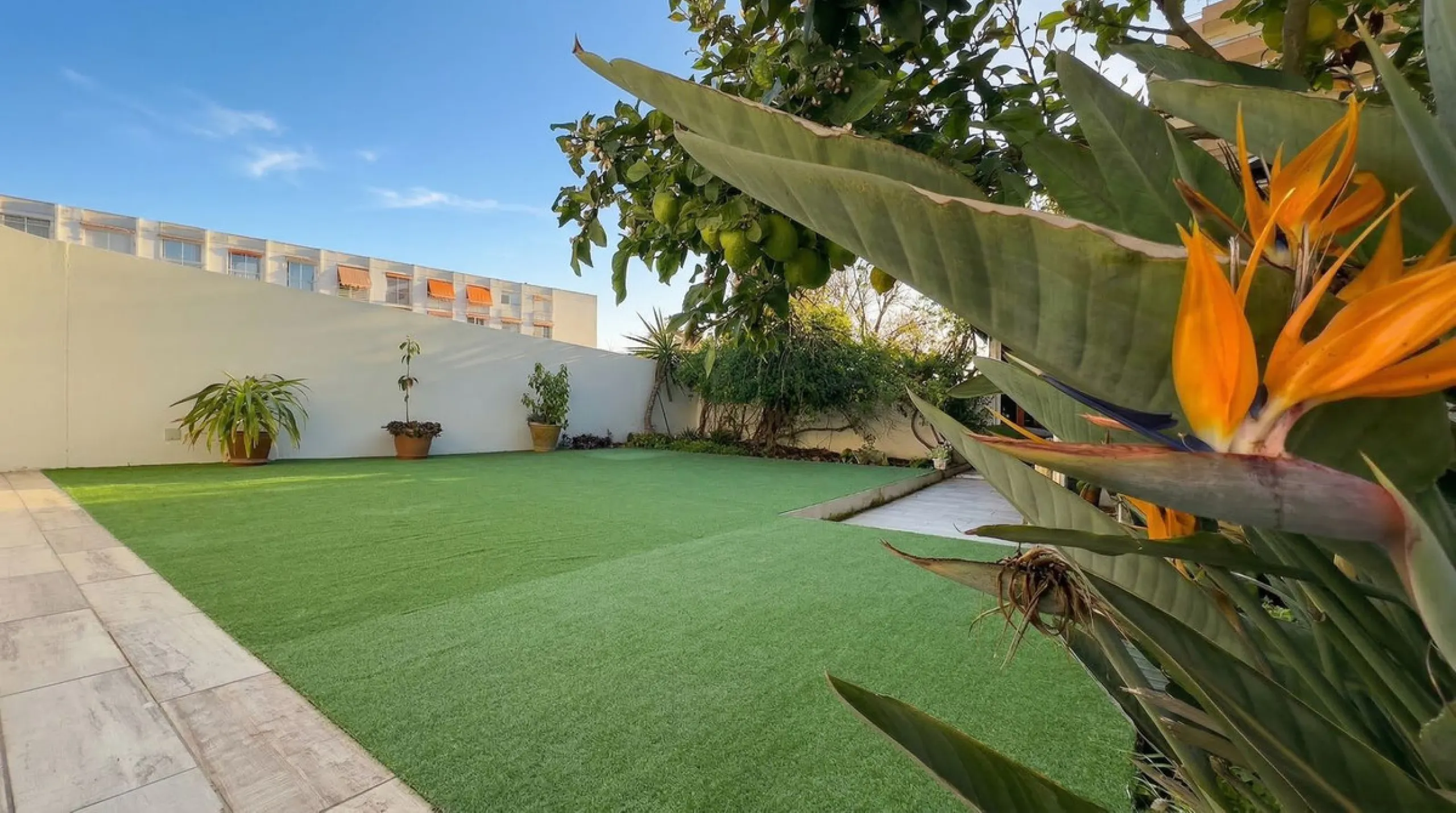 • 300 meters from the beach