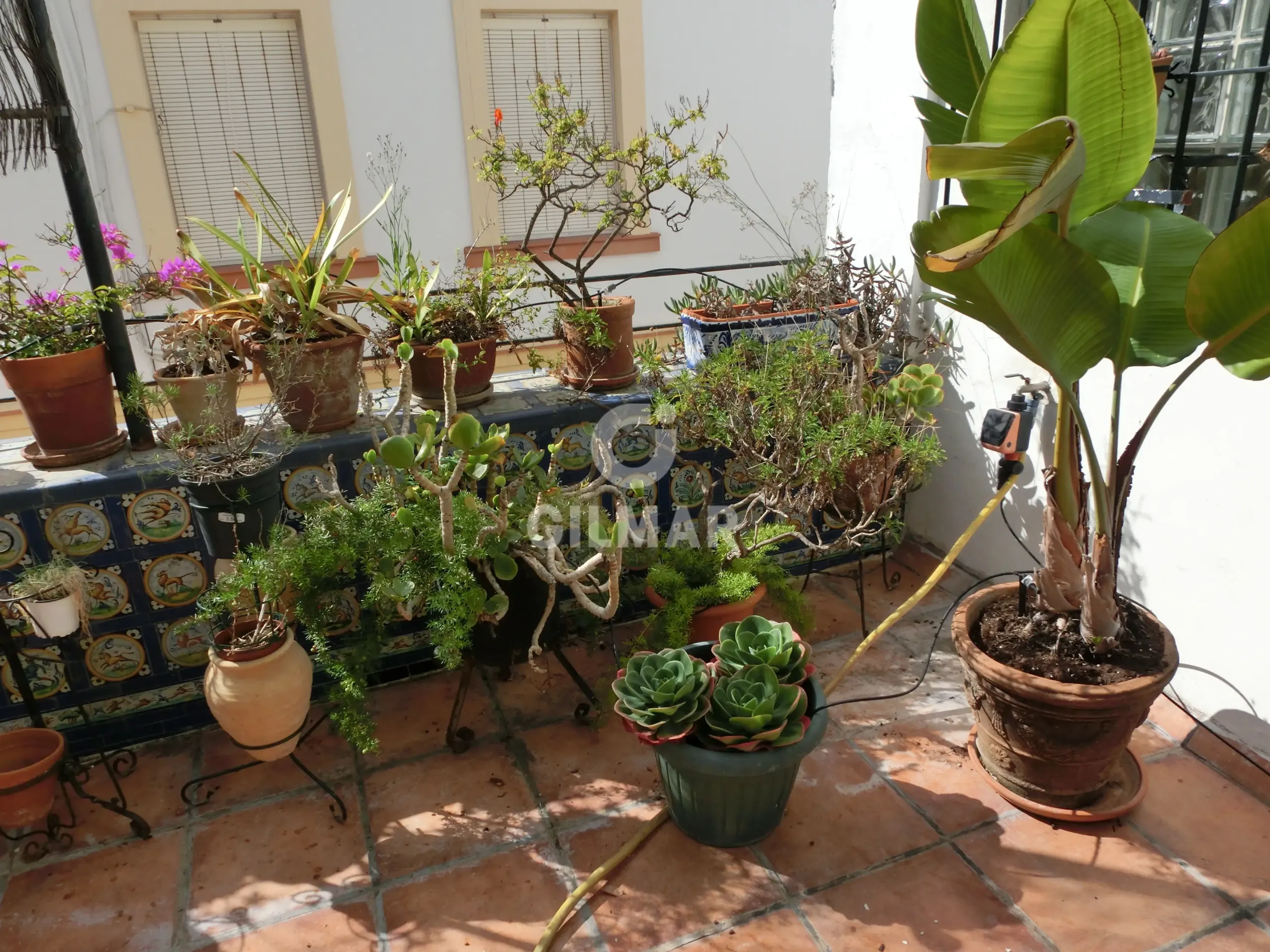 Semi-detached house in Puerto de Santa María - Cádiz