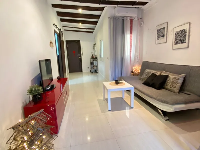 Acogedor piso reformado en el corazón de Barcelona