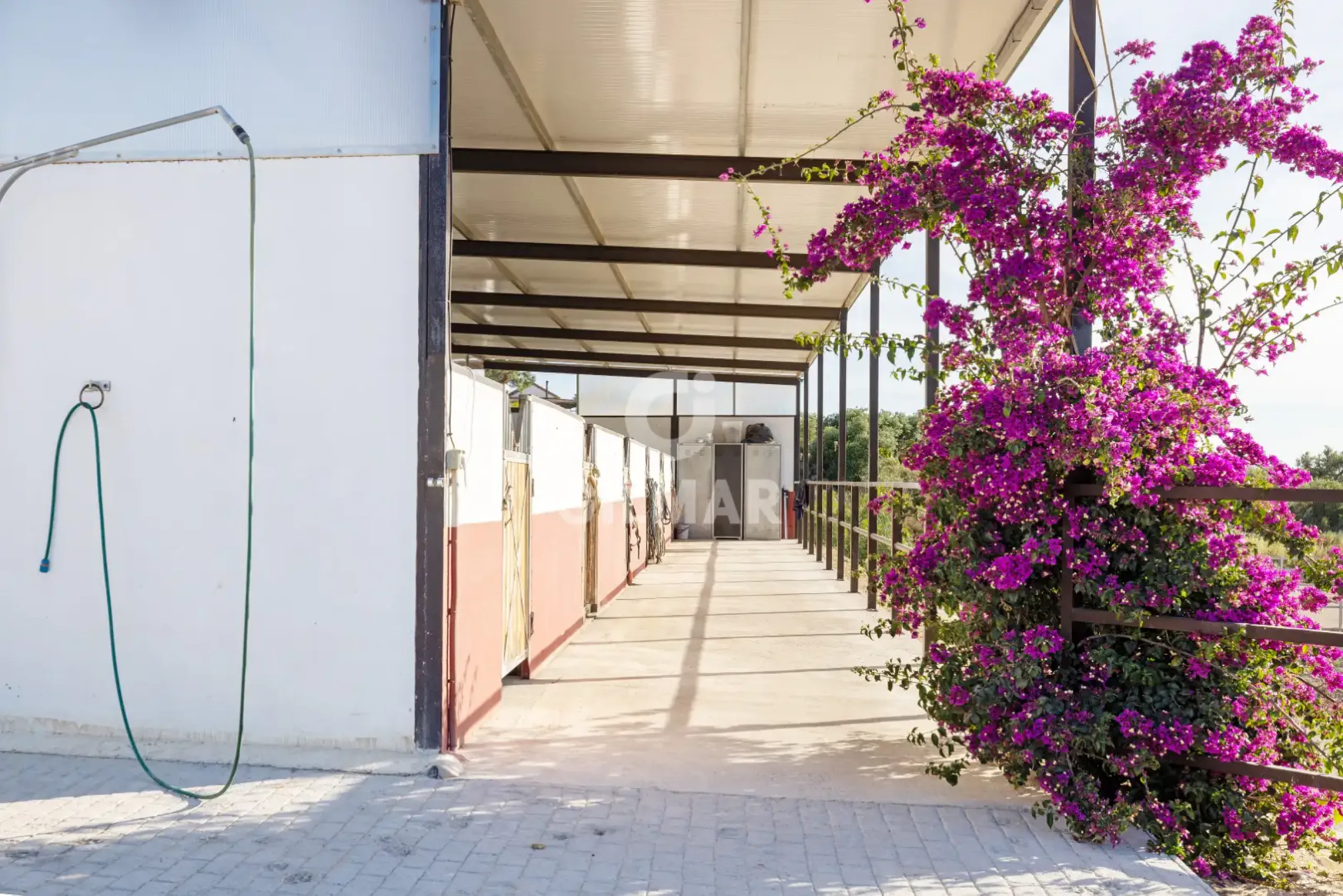 Chalet Independiente en Arcos de la Frontera - Cádiz