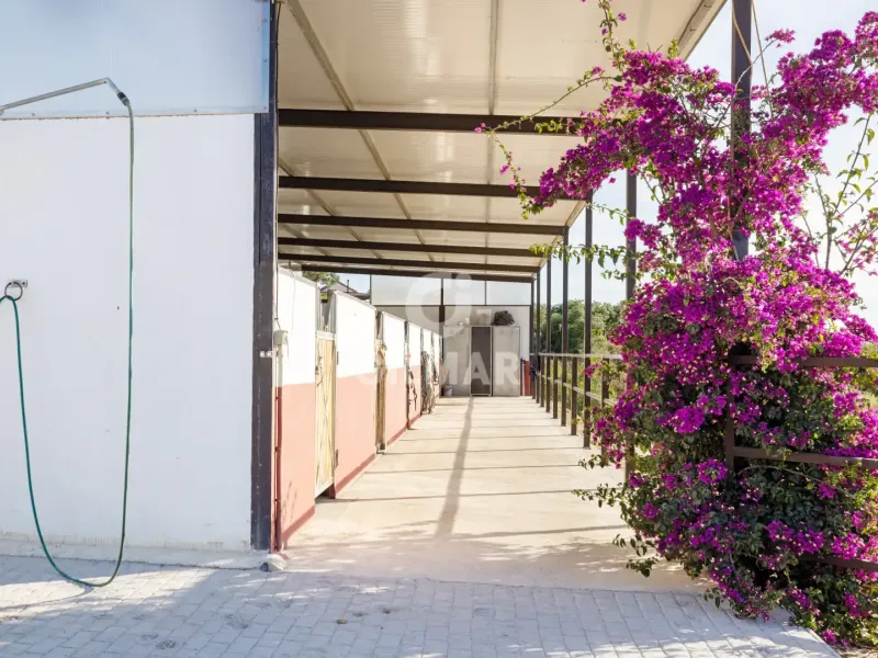 Chalet Independiente en Arcos de la Frontera - Cádiz