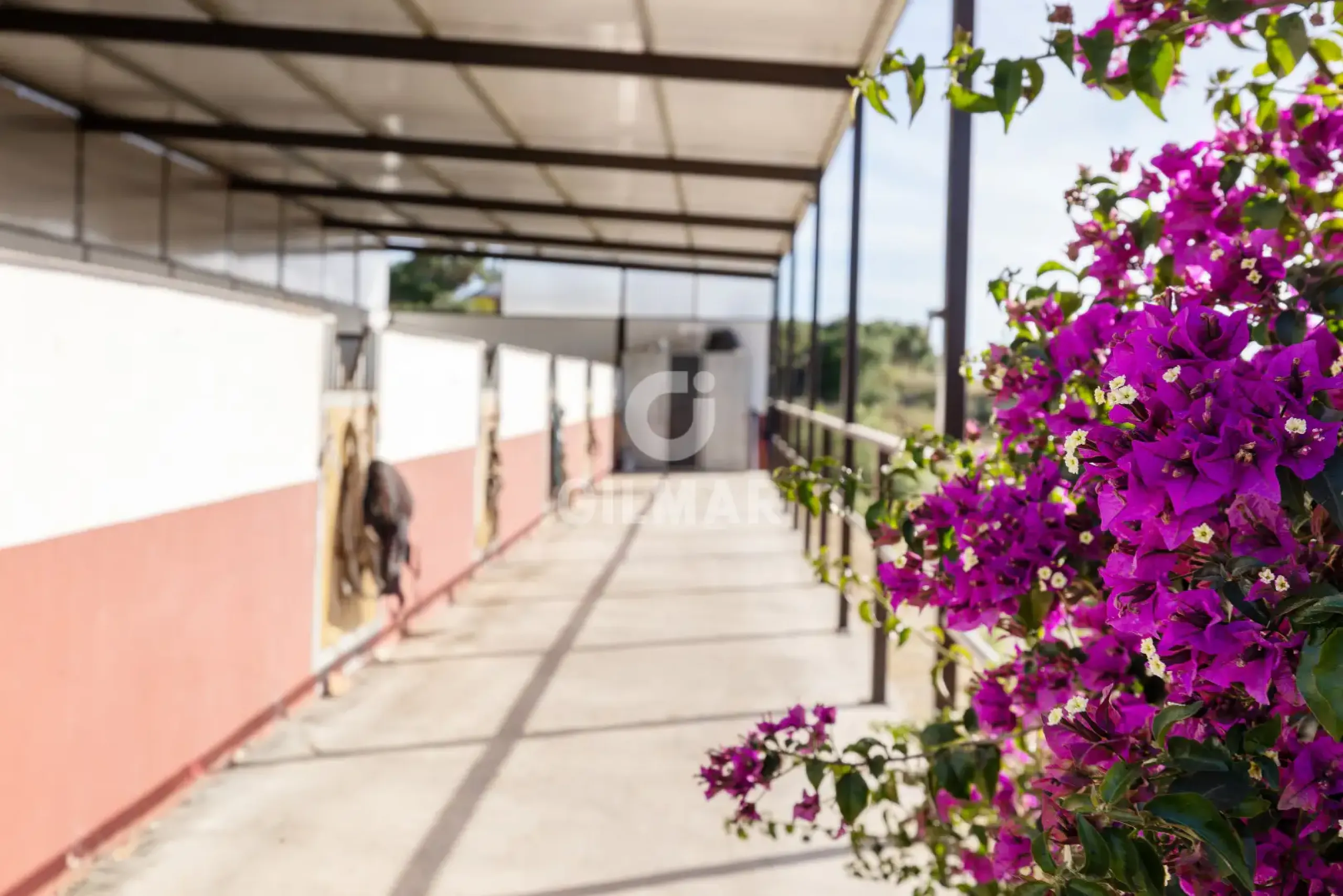 Chalet Independiente en Arcos de la Frontera - Cádiz