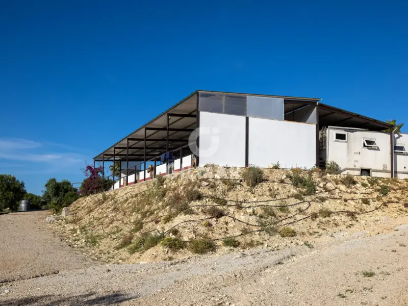 Chalet Independiente en Arcos de la Frontera - Cádiz