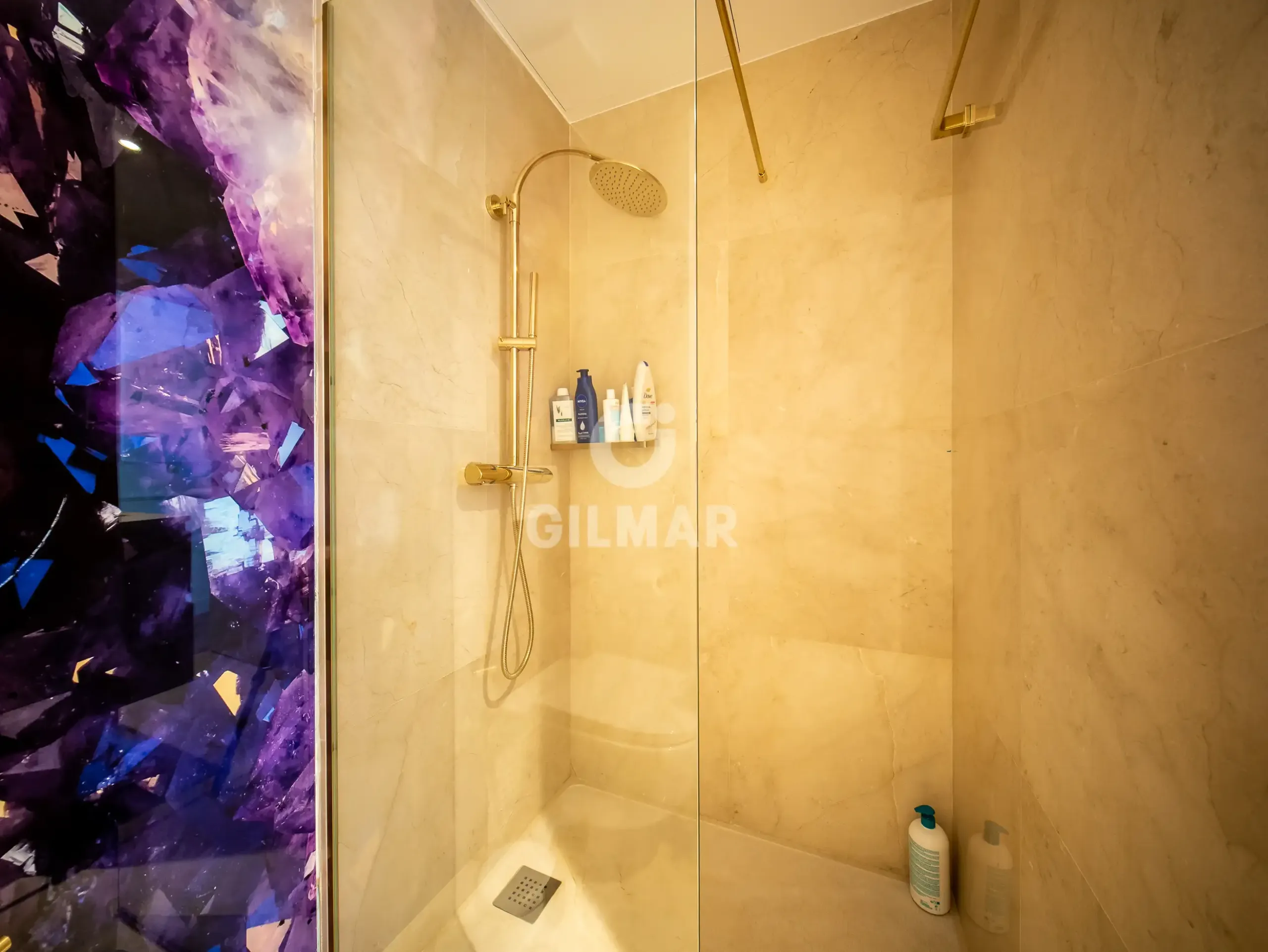 Penthouse in Recoletos - Madrid