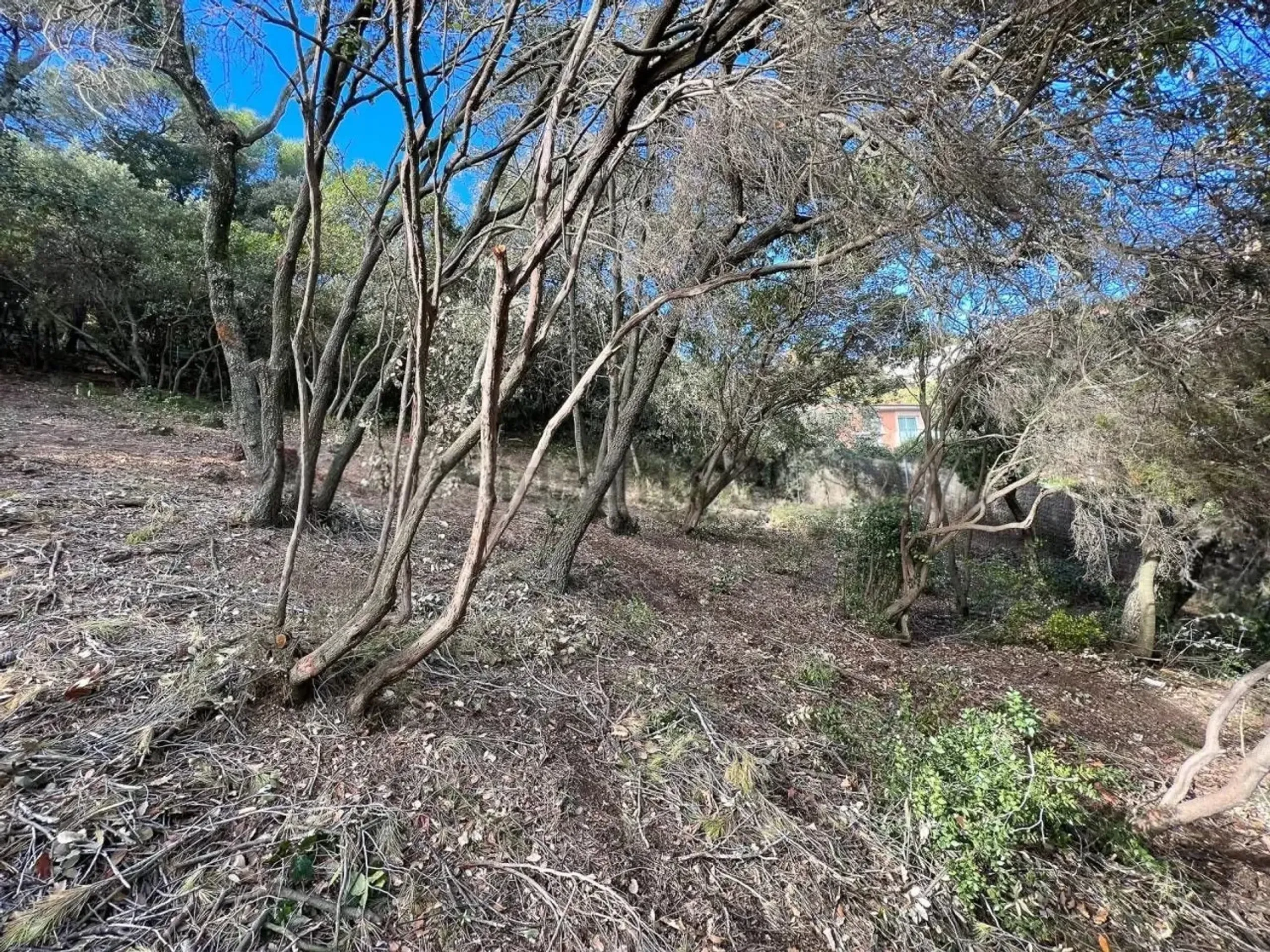 Parcela en Les Pedritxes, entorno natural privilegiado, Matadepera, Barcelona