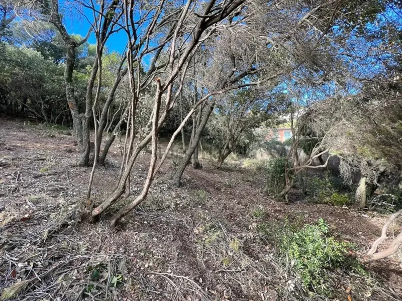 Parcela en Les Pedritxes, entorno natural privilegiado, Matadepera, Barcelona