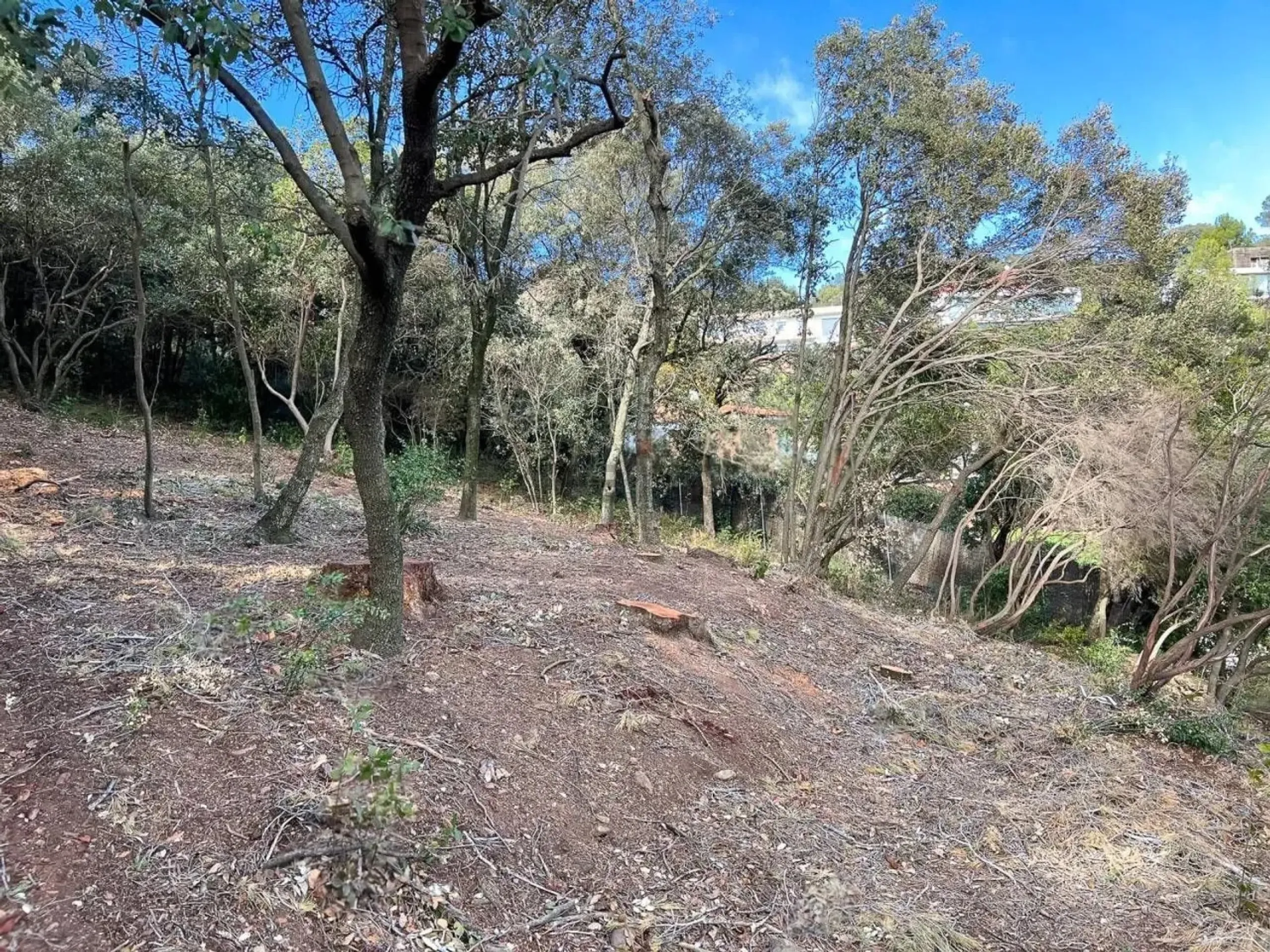 Parcela en Les Pedritxes, entorno natural privilegiado, Matadepera, Barcelona