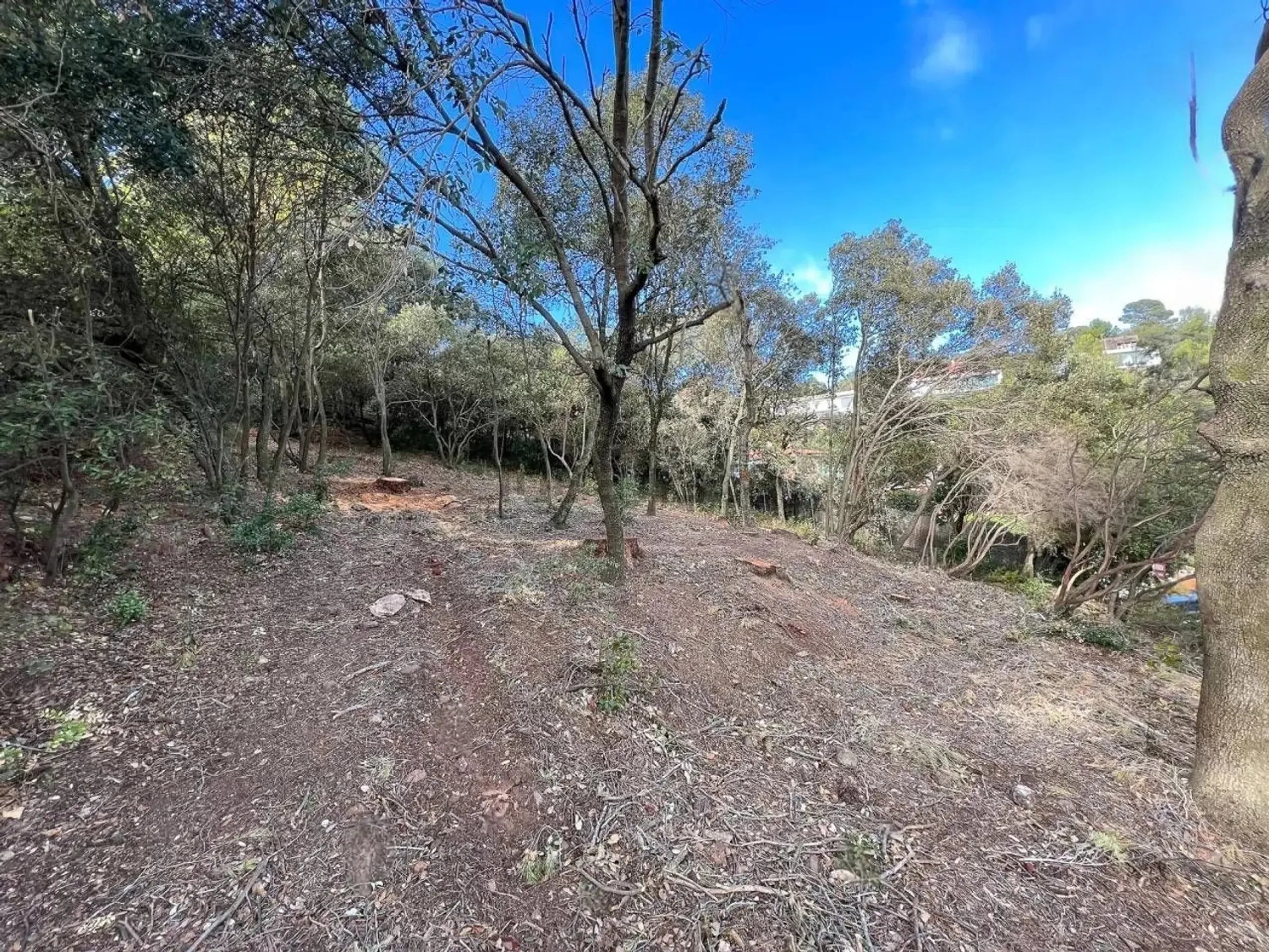 Parcela en Les Pedritxes, entorno natural privilegiado, Matadepera, Barcelona