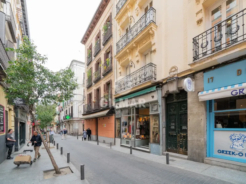 Apartment in Cortes - Madrid