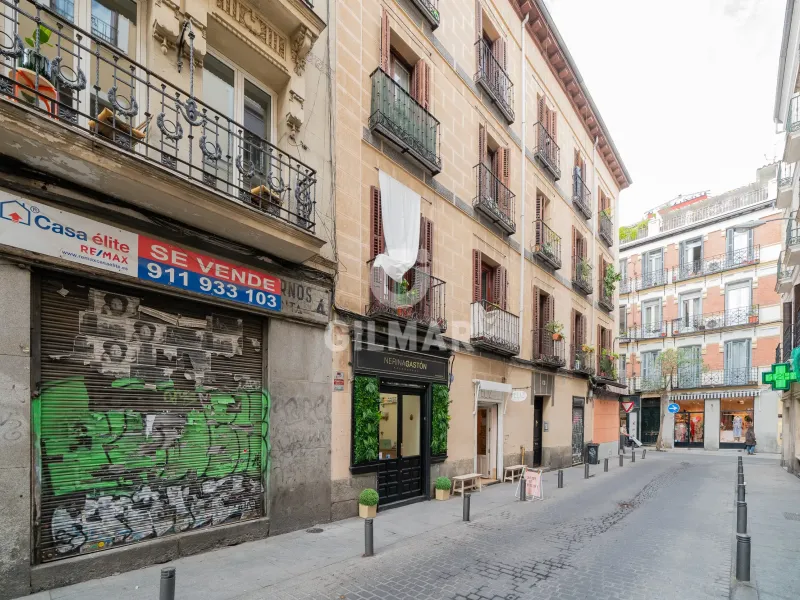 Apartment in Cortes - Madrid