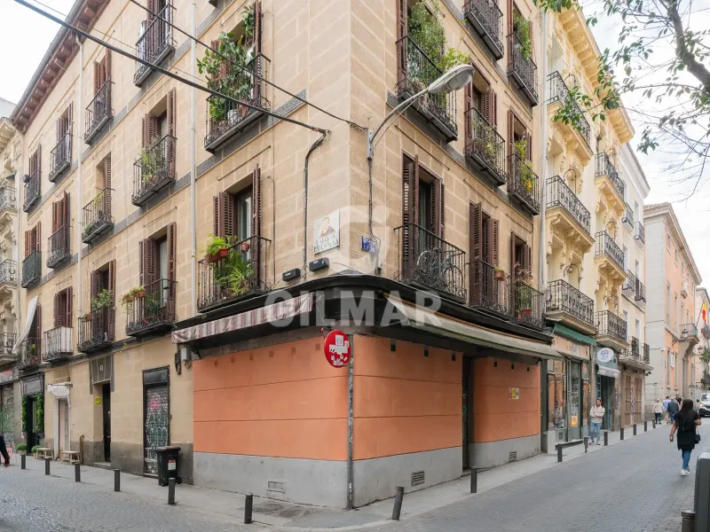 Apartment in Cortes - Madrid